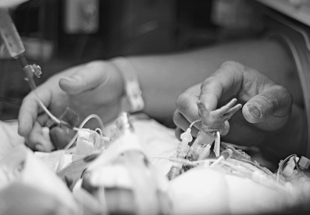 Работы участников фотоконкурса National Geographic