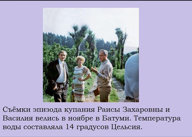 факты, комедия, «Любовь и голуби», ссср