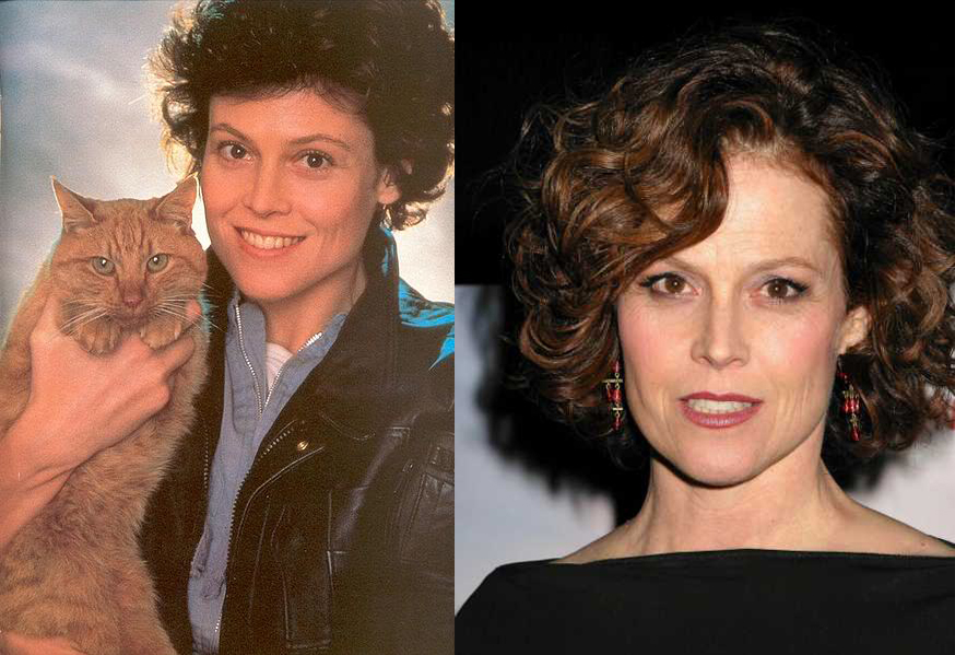 пластическая хирургия, тогда и сейчас 