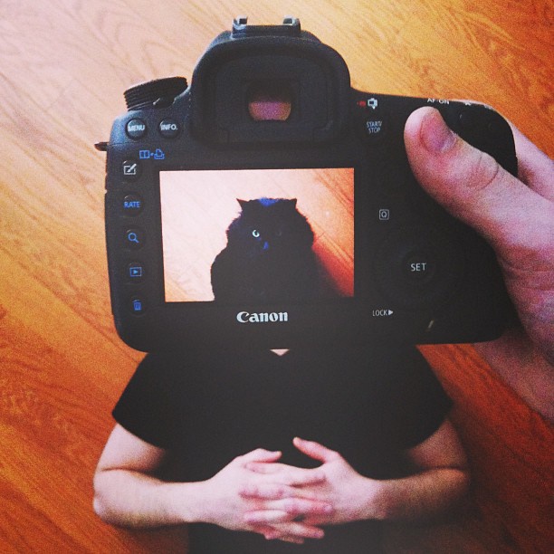 Захари Rose, Instagram-фотограф, фотопроект, животные копии хозяев