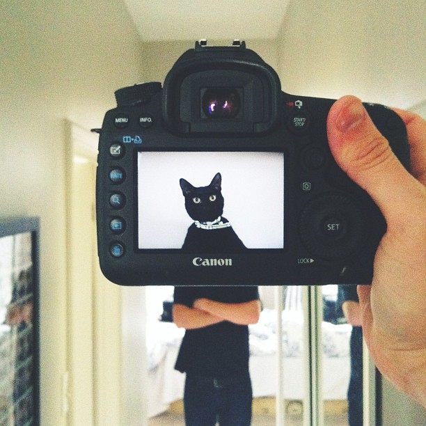 Захари Rose, Instagram-фотограф, фотопроект, животные копии хозяев