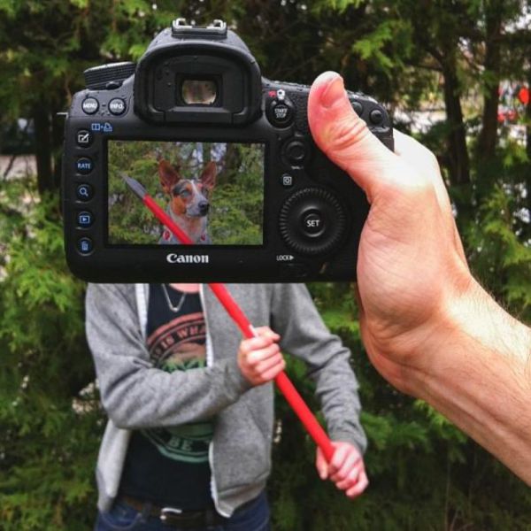 Захари Rose, Instagram-фотограф, фотопроект, животные копии хозяев