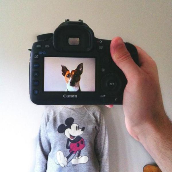 Захари Rose, Instagram-фотограф, фотопроект, животные копии хозяев