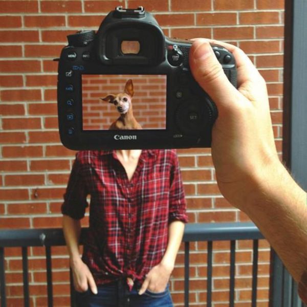 Захари Rose, Instagram-фотограф, фотопроект, животные копии хозяев