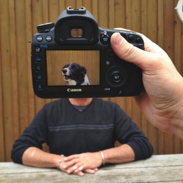 Захари Rose, Instagram-фотограф, фотопроект, животные копии хозяев