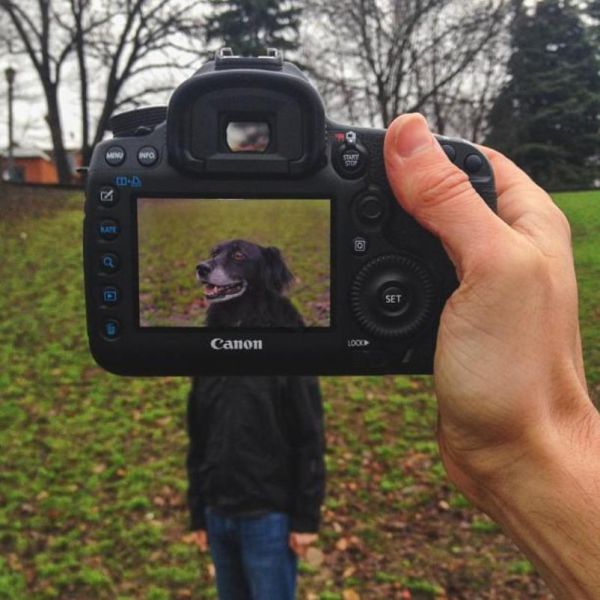 Захари Rose, Instagram-фотограф, фотопроект, животные копии хозяев