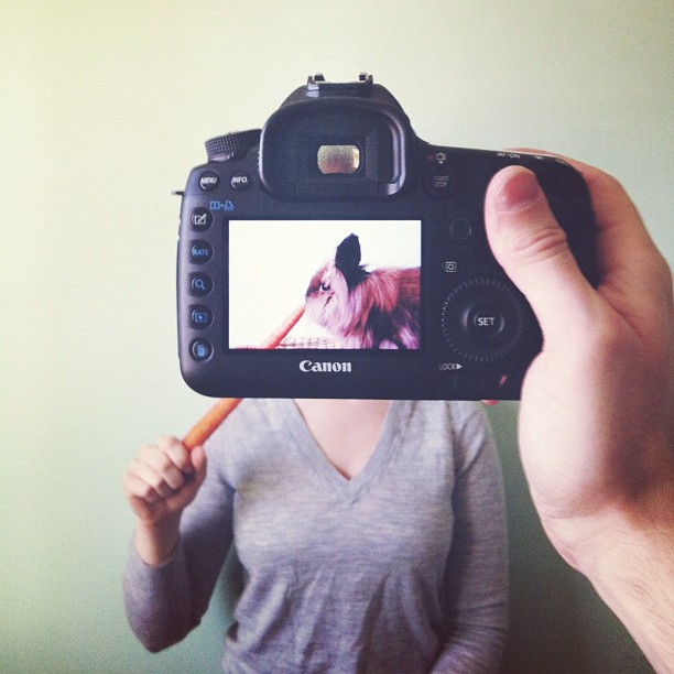 Захари Rose, Instagram-фотограф, фотопроект, животные копии хозяев