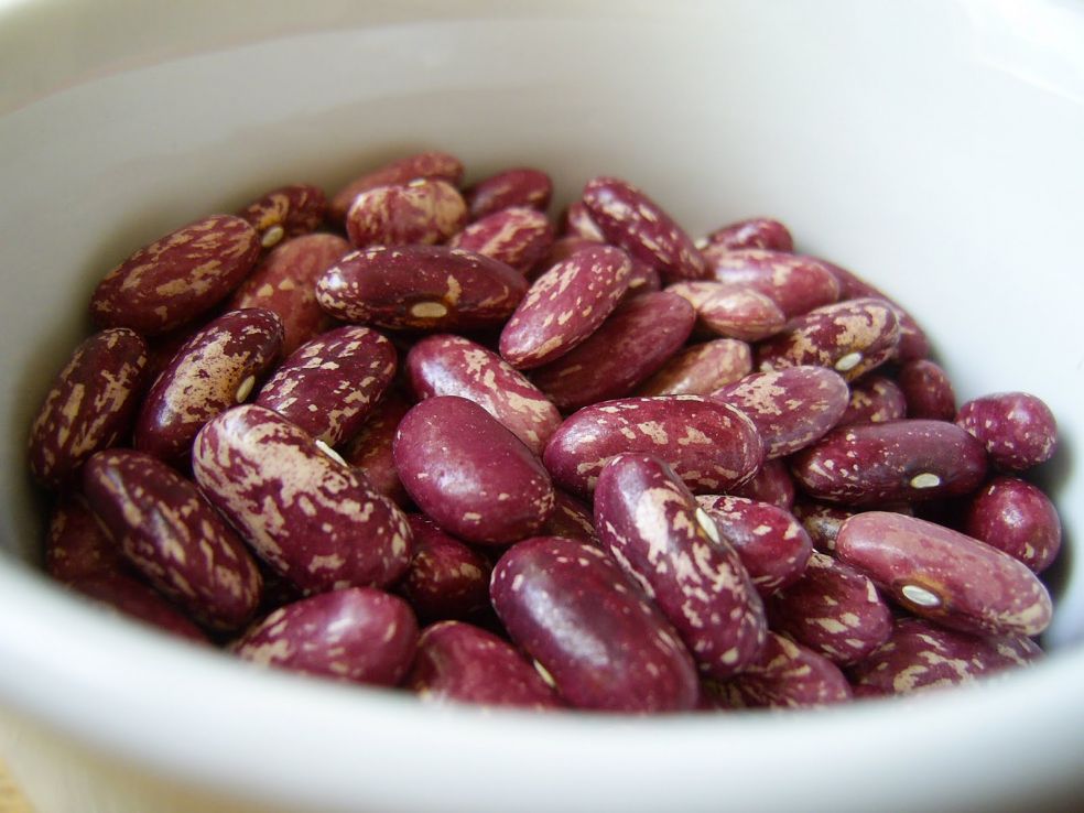 продукты ускоряющие обмен веществ, для сжигания жира 