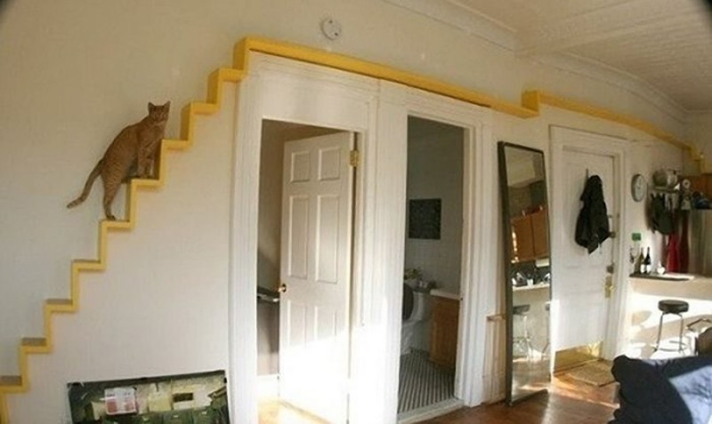 Оригинальные жилища для любимых котов дом для кота, жилище для кошки, интерьер