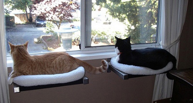 Оригинальные жилища для любимых котов дом для кота, жилище для кошки, интерьер