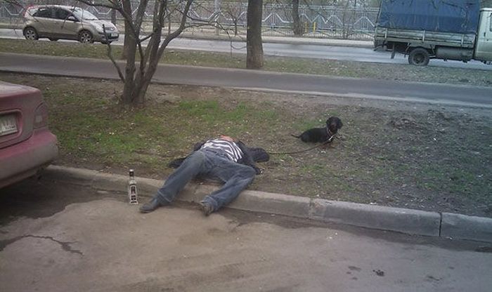 умом россию не понять ,угадай страну, россия удивительная страна