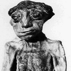 загадочные трупы, животные, инопланетяне, найденные,  последние 100 лет, история, мистика, монстры, трунко, педро, люба