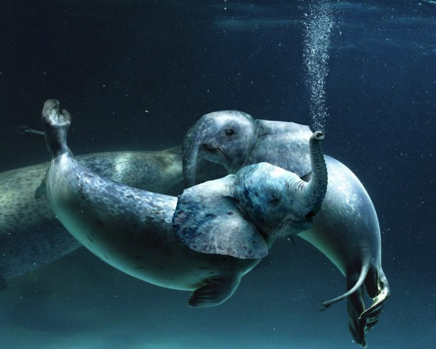 загадочные трупы, животные, инопланетяне, найденные,  последние 100 лет, история, мистика, монстры, трунко, педро, люба