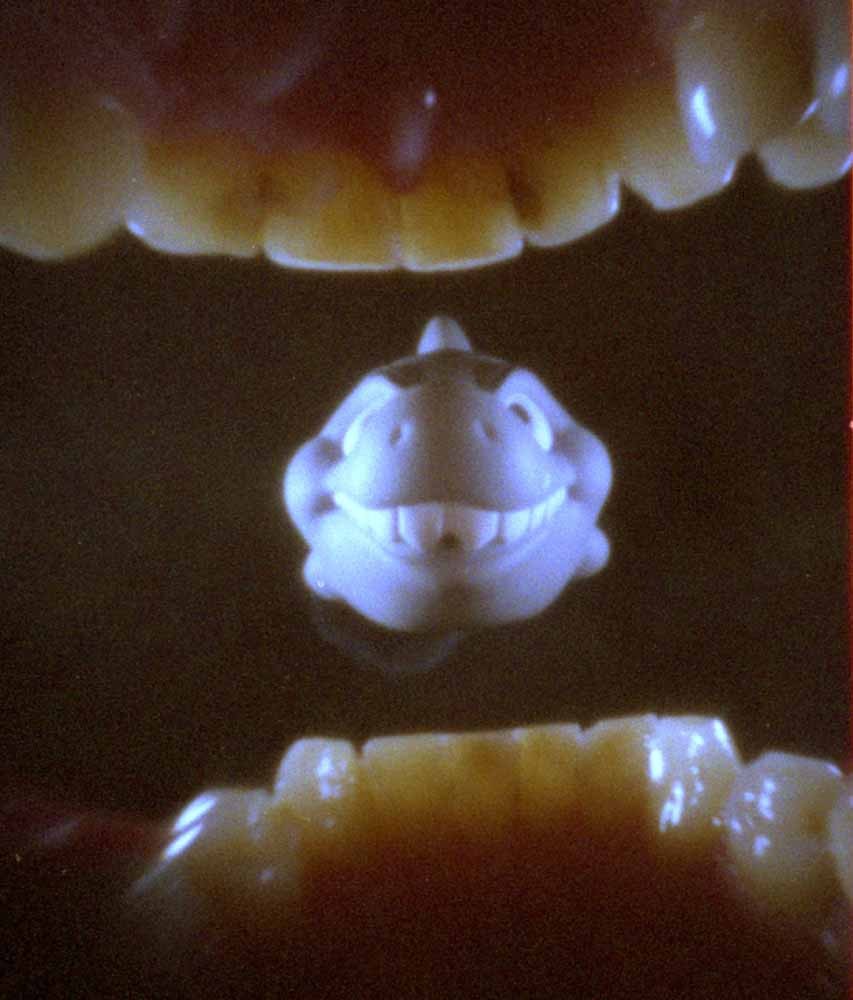 Фотографии из рта,фотопроект, фотограф, Джастин Куиннелл, Justin Quinnell