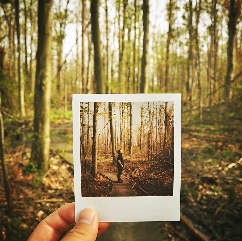 Лучшие, фотографии, по версии, сайт, Ультрамарин