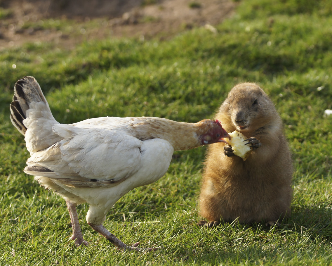 Лучшие, фотографии, по версии, сайт, Ультрамарин