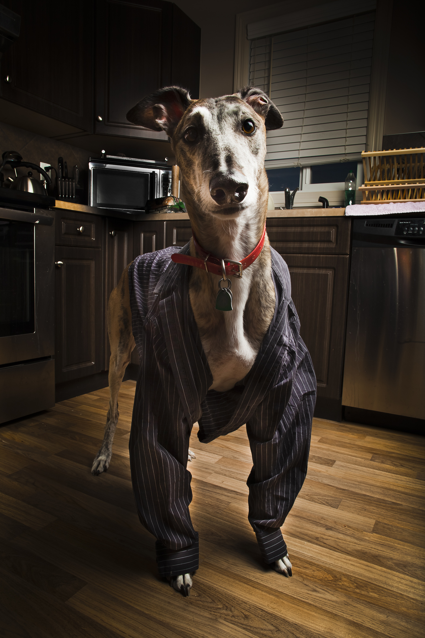 Лучшие, фотографии, по версии, сайт, Ультрамарин