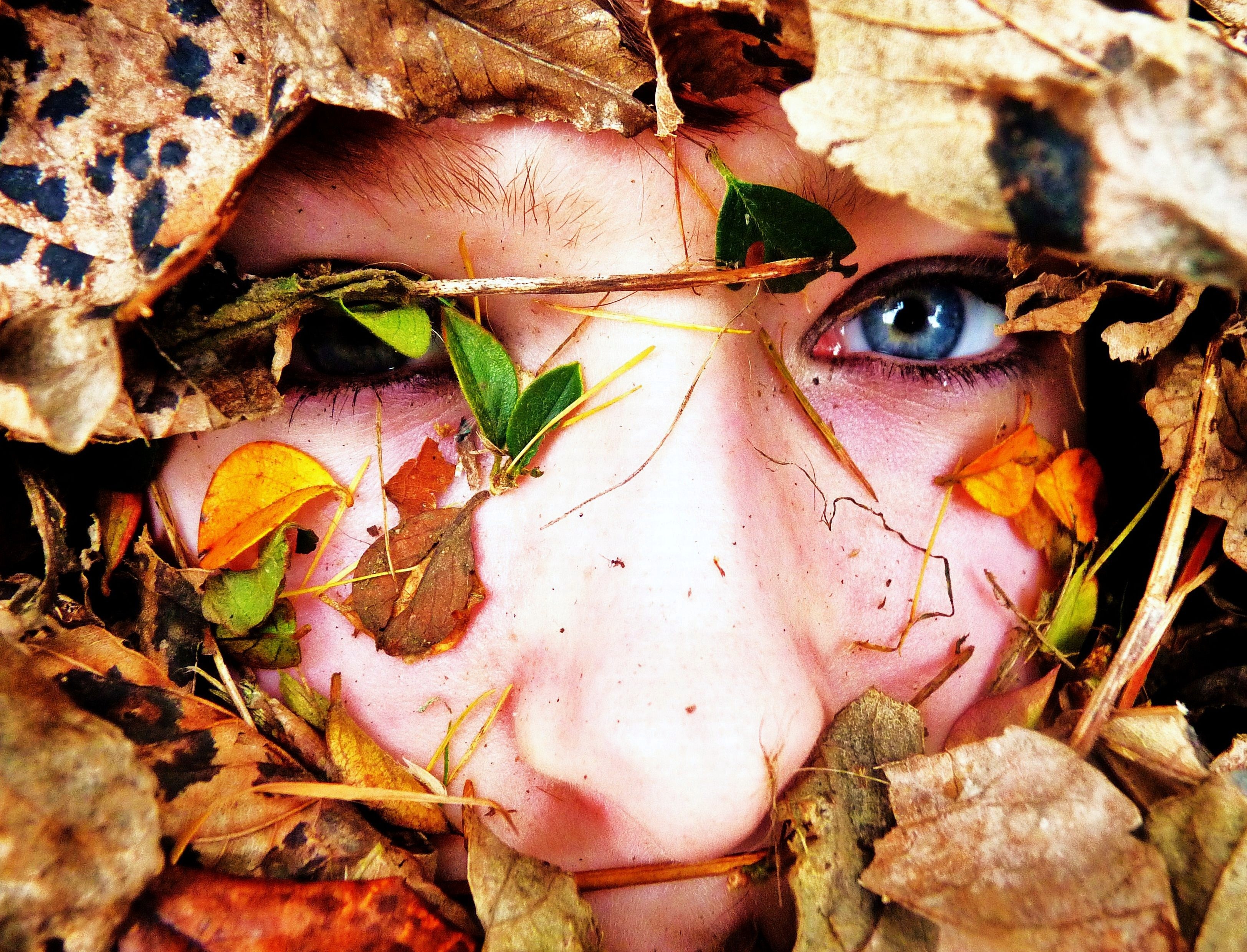 Лучшие, фотографии, по версии, сайт, Ультрамарин