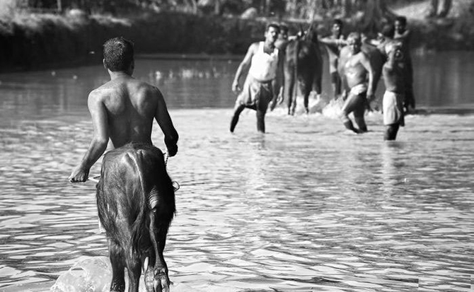 фотоиллюзии,лучшие, самые, показалось