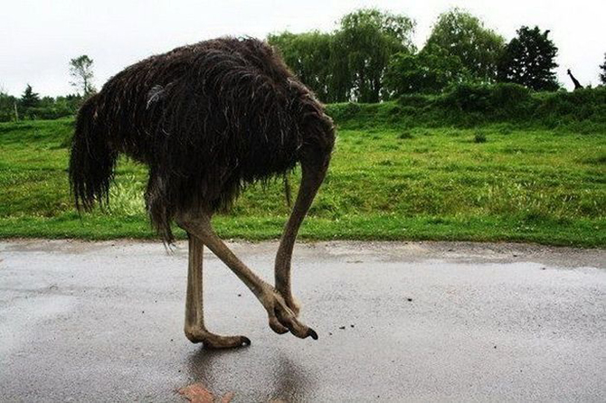 фотоиллюзии,лучшие, самые, показалось