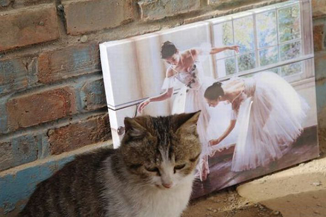 фотоиллюзии,лучшие, самые, показалось