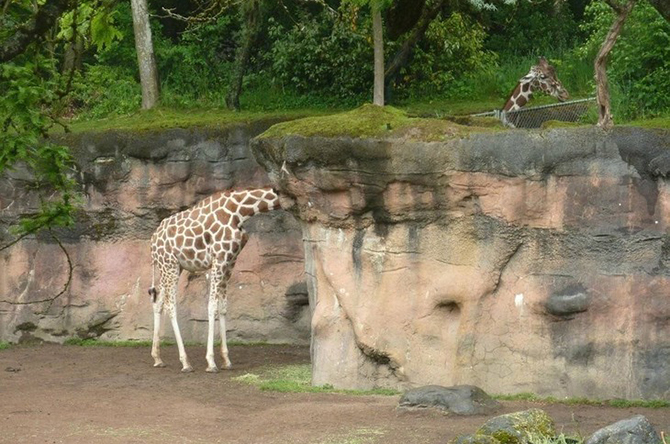фотоиллюзии,лучшие, самые, показалось