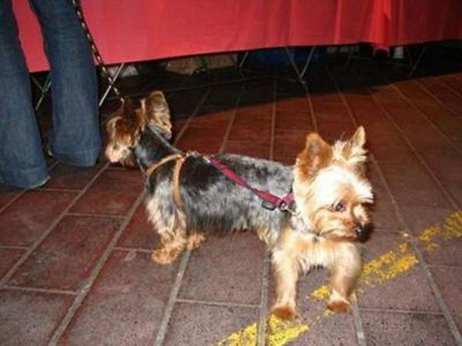 фотоиллюзии,лучшие, самые, показалось