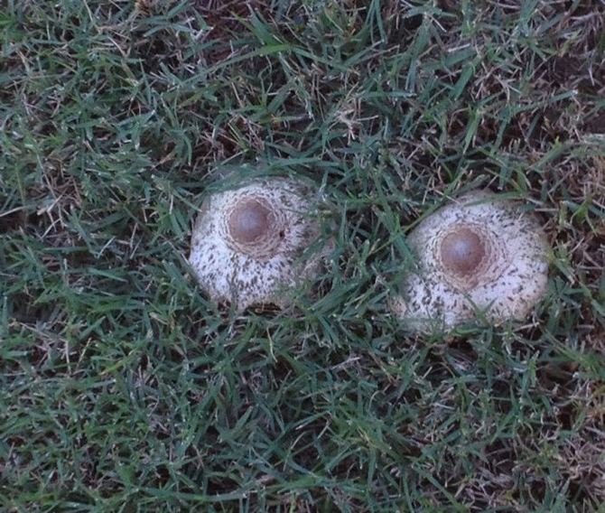 фотоиллюзии,лучшие, самые, показалось