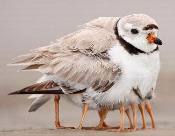 фотоиллюзии,лучшие, самые, показалось