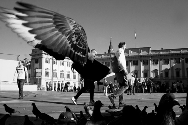 фотоиллюзии,лучшие, самые, показалось