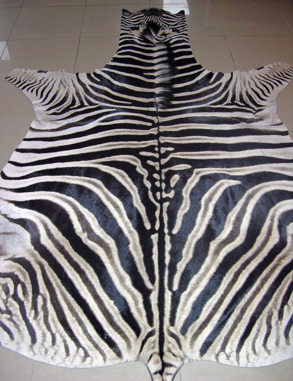 тест Роршаха,клякса