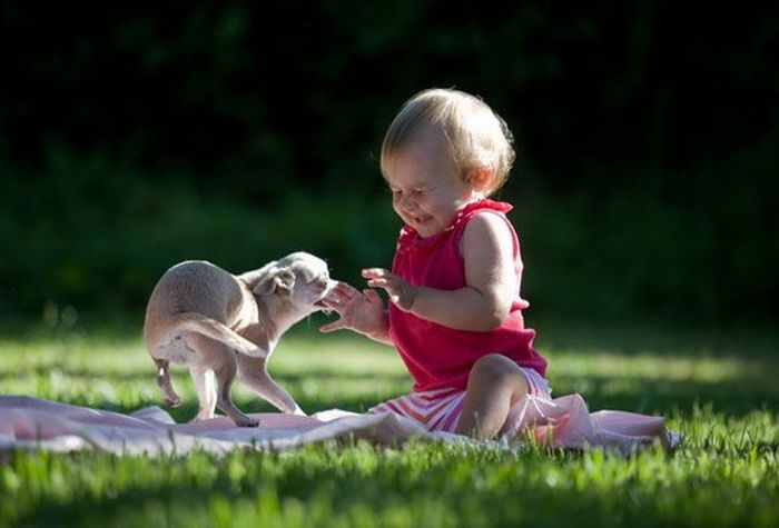 трогательные фото, волнующие снимки, эмоциональные фотографии