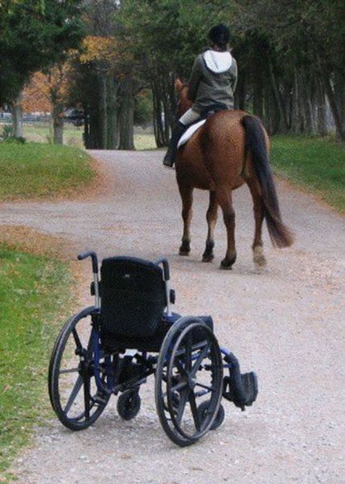 трогательные фото, волнующие снимки, эмоциональные фотографии