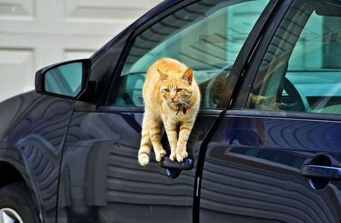 трогательные фото, волнующие снимки, эмоциональные фотографии