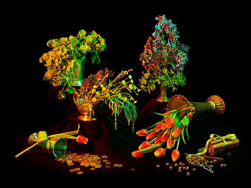 Амелии Бауэр Amelia Bauer, магия, натюрморт