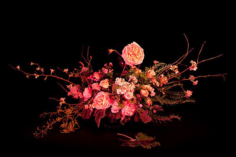 Амелии Бауэр Amelia Bauer, магия, натюрморт