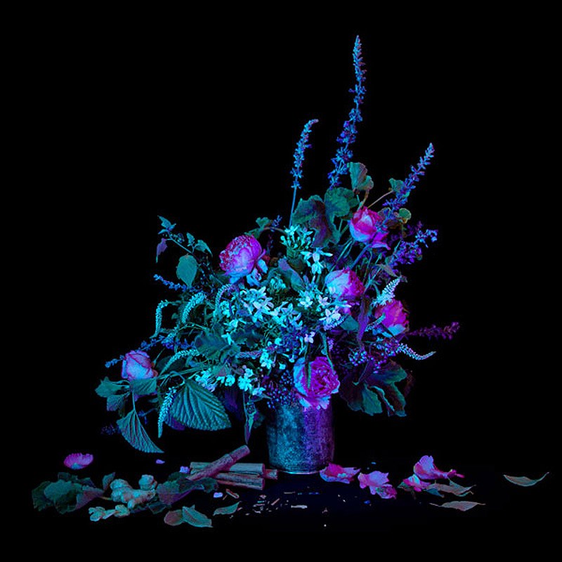 Амелии Бауэр Amelia Bauer, магия, натюрморт