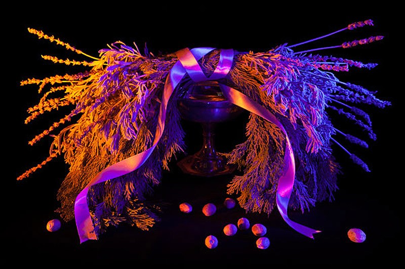 Амелии Бауэр Amelia Bauer, магия, натюрморт