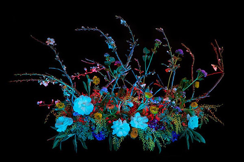 Амелии Бауэр Amelia Bauer, магия, натюрморт