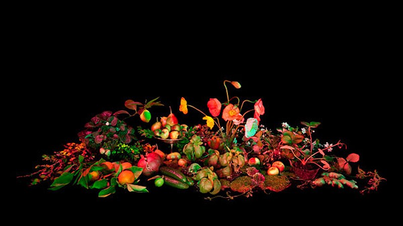 Амелии Бауэр Amelia Bauer, магия, натюрморт