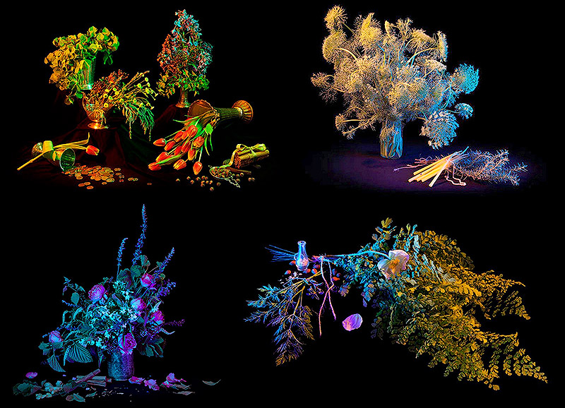 Амелии Бауэр Amelia Bauer, магия, натюрморт