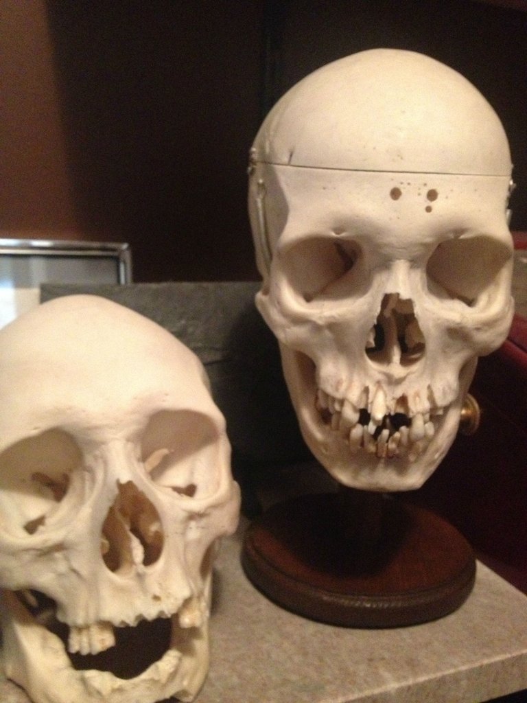 Коллекция жутких вещей одного странного человека danthoms, жуткая коллекция, коллекционер, странные вещи