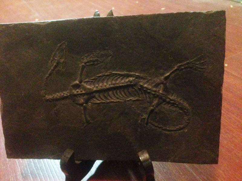 Коллекция жутких вещей одного странного человека danthoms, жуткая коллекция, коллекционер, странные вещи