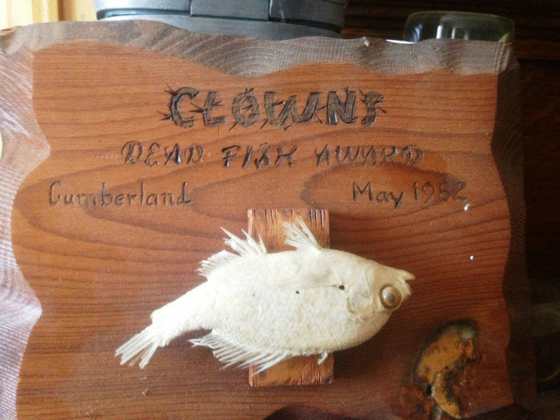 Коллекция жутких вещей одного странного человека danthoms, жуткая коллекция, коллекционер, странные вещи