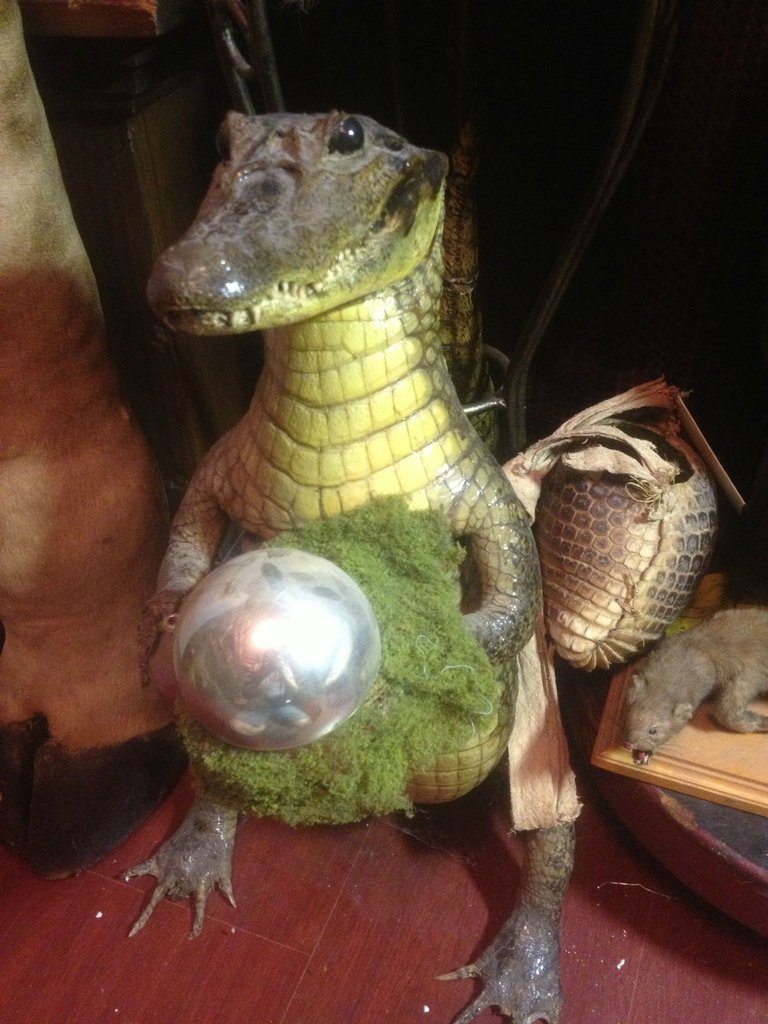 Коллекция жутких вещей одного странного человека danthoms, жуткая коллекция, коллекционер, странные вещи