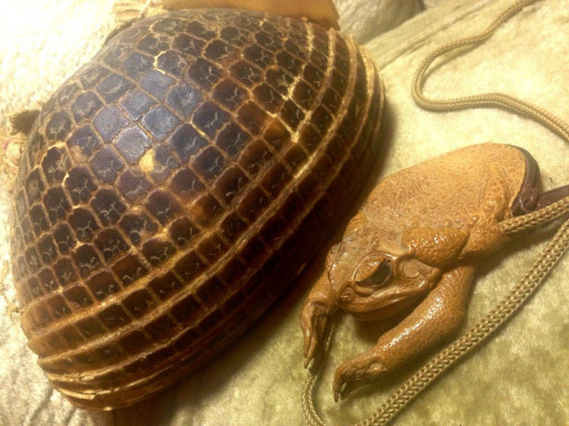 Коллекция жутких вещей одного странного человека danthoms, жуткая коллекция, коллекционер, странные вещи