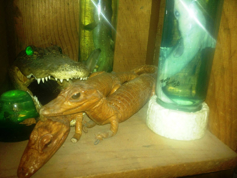 Коллекция жутких вещей одного странного человека danthoms, жуткая коллекция, коллекционер, странные вещи