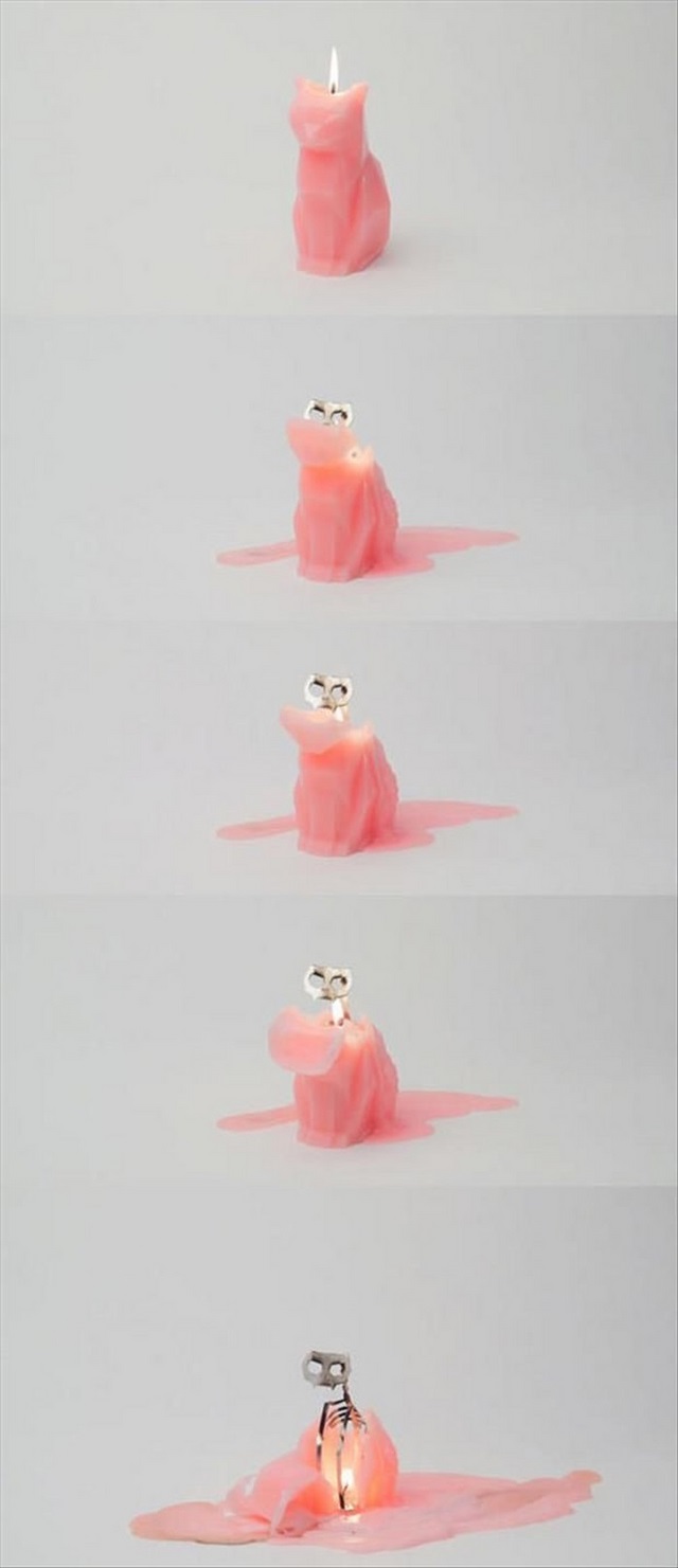 Позитив,юмор, смешные фотографии,смех,прикол