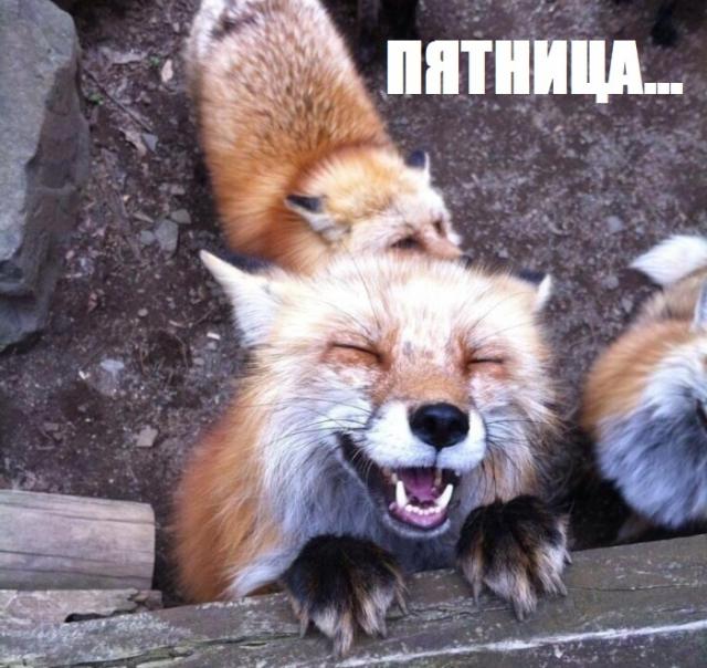 Позитив,юмор, смешные фотографии,смех,прикол