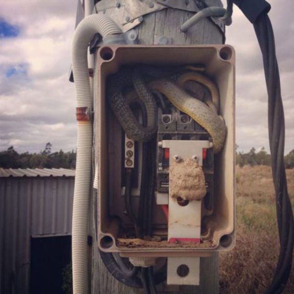 Ситуации,случай,ЧП,курьёзы